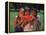 Children in Park Eating Watermelon-Mark Gibson-Framed Premier Image Canvas