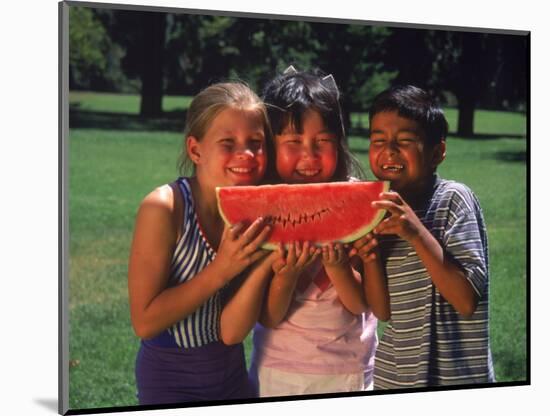 Children in Park Eating Watermelon-Mark Gibson-Mounted Photographic Print