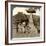 Children in the Playground of a Village School, Japan, 1904-Underwood & Underwood-Framed Photographic Print