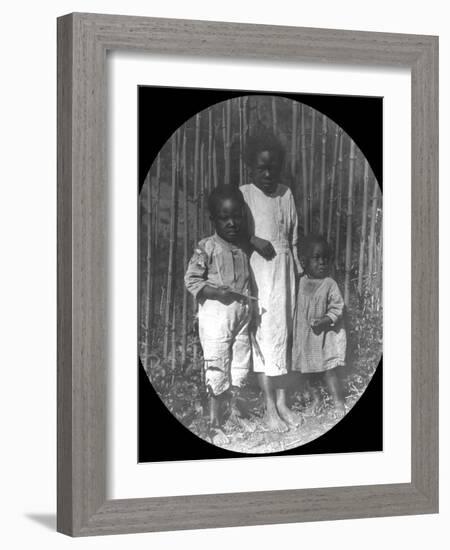 Children Near Petrópolis, Brazil, Late 19th or Early 20th Century-null-Framed Photographic Print