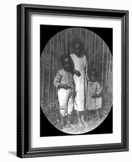 Children Near Petrópolis, Brazil, Late 19th or Early 20th Century-null-Framed Photographic Print