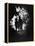 Children of Photographer with Eugene Smith Walking Hand in Hand in Woods Behind His Home-W^ Eugene Smith-Framed Premier Image Canvas