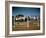 Children of Rancher Tom Hall Lined up on Fence-Loomis Dean-Framed Photographic Print