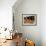 Children Play Soccer at a Shelter in the City Maraba-null-Framed Photographic Print displayed on a wall