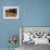 Children Play Soccer at a Shelter in the City Maraba-null-Framed Photographic Print displayed on a wall