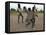 Children Play with Homemade Soccer Balls Made from Discarded Medical Gloves-null-Framed Premier Image Canvas