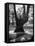 Children Playing and Climbing up Trees-Cornell Capa-Framed Premier Image Canvas