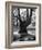 Children Playing and Climbing up Trees-Cornell Capa-Framed Photographic Print