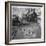 Children Playing in a Playground in Sheffield-Henry Grant-Framed Photographic Print