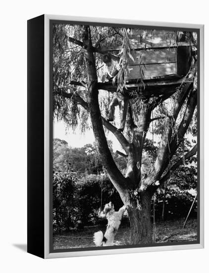 Children Playing in a Treehouse-Arthur Schatz-Framed Premier Image Canvas
