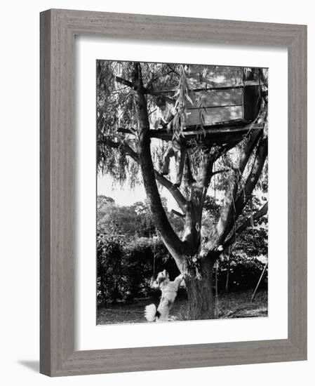 Children Playing in a Treehouse-Arthur Schatz-Framed Photographic Print