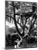 Children Playing in a Treehouse-Arthur Schatz-Mounted Photographic Print