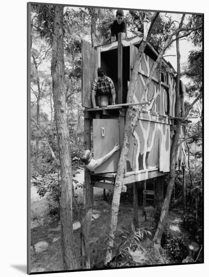 Photographic Print, , large