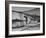 Children Playing on the Beach Collecting Mussels, Clams, and Oysters-null-Framed Photographic Print