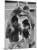 Children Playing with Their Fathers in the Swimming Pool-George Silk-Mounted Premium Photographic Print