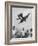 Children Playing with Various Flying Toys-Ralph Crane-Framed Photographic Print