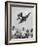 Children Playing with Various Flying Toys-Ralph Crane-Framed Photographic Print