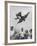 Children Playing with Various Flying Toys-Ralph Crane-Framed Photographic Print