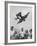 Children Playing with Various Flying Toys-Ralph Crane-Framed Photographic Print