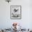 Children Playing with Various Flying Toys-Ralph Crane-Framed Photographic Print displayed on a wall