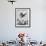 Children Playing with Various Flying Toys-Ralph Crane-Framed Photographic Print displayed on a wall