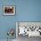 Children Read Together from Muslim's Holy Quran in Karachi, Pakistan-null-Framed Photographic Print displayed on a wall