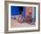 Children's Bicycle in Puerto Vallarta, The Colonial Heartland, Mexico-Tom Haseltine-Framed Photographic Print