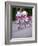 Children's Dance Group at Poble Espanyol, Montjuic, Barcelona, Spain-Michele Westmorland-Framed Photographic Print