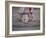 Children's Dance Group at Poble Espanyol, Montjuic, Barcelona, Spain-Michele Westmorland-Framed Photographic Print