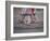 Children's Dance Group at Poble Espanyol, Montjuic, Barcelona, Spain-Michele Westmorland-Framed Photographic Print