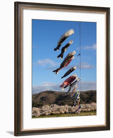 Children'S' Day Flying Fish over River, Kitakami River, Kitakami, Iwate Prefecture, Japan-null-Framed Photographic Print
