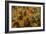 Children's Games-Pieter Bruegel the Elder-Framed Giclee Print