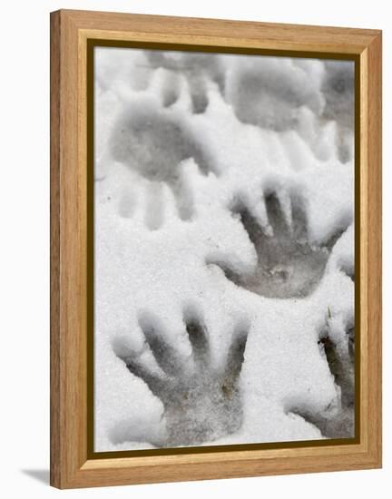 Children's Handprints in a Spring Snow-John Nordell-Framed Premier Image Canvas