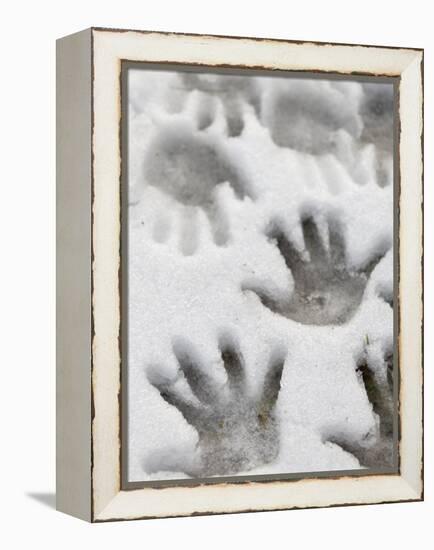 Children's Handprints in a Spring Snow-John Nordell-Framed Premier Image Canvas