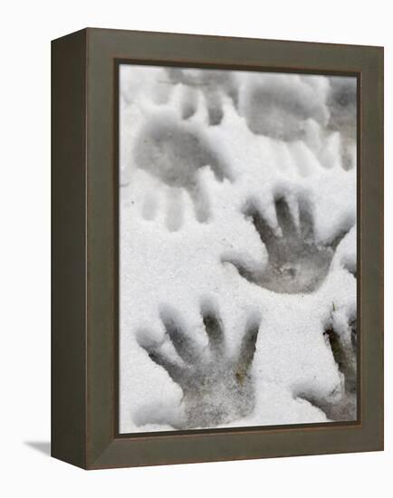 Children's Handprints in a Spring Snow-John Nordell-Framed Premier Image Canvas