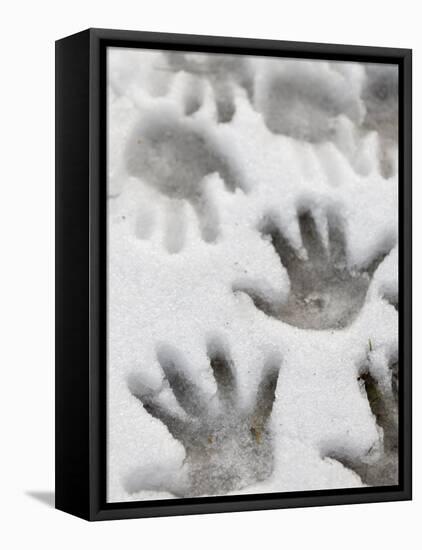 Children's Handprints in a Spring Snow-John Nordell-Framed Premier Image Canvas