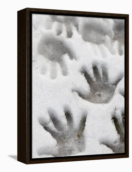 Children's Handprints in a Spring Snow-John Nordell-Framed Premier Image Canvas