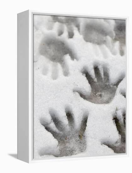 Children's Handprints in a Spring Snow-John Nordell-Framed Premier Image Canvas