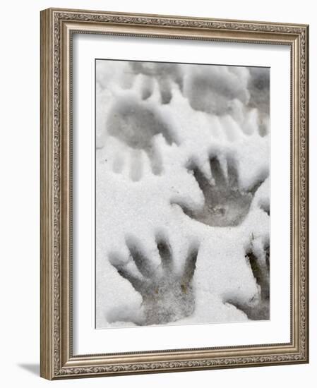 Children's Handprints in a Spring Snow-John Nordell-Framed Photographic Print