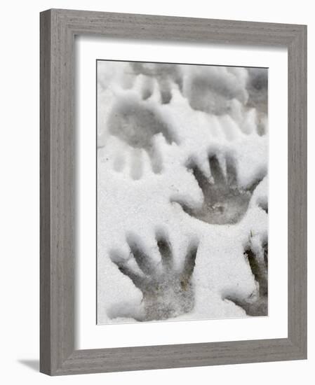 Children's Handprints in a Spring Snow-John Nordell-Framed Photographic Print