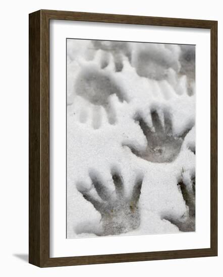 Children's Handprints in a Spring Snow-John Nordell-Framed Photographic Print