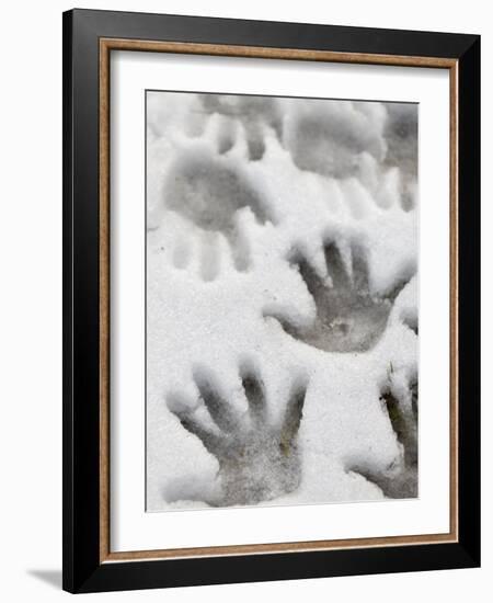 Children's Handprints in a Spring Snow-John Nordell-Framed Photographic Print