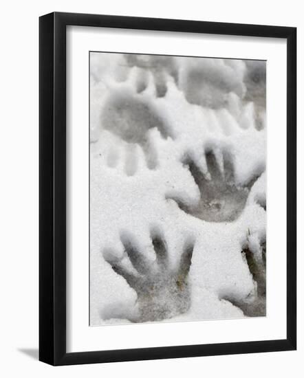 Children's Handprints in a Spring Snow-John Nordell-Framed Photographic Print