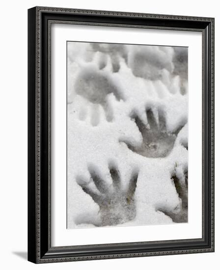 Children's Handprints in a Spring Snow-John Nordell-Framed Photographic Print