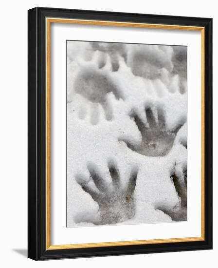 Children's Handprints in a Spring Snow-John Nordell-Framed Photographic Print