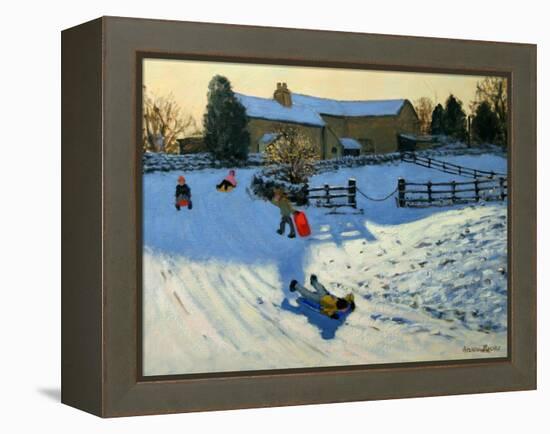 Children Sledging, Monyash, Derbyshire-Andrew Macara-Framed Premier Image Canvas