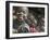 Children Smiling, Busso Village, Konso Tribe, Ethiopia-Janis Miglavs-Framed Photographic Print