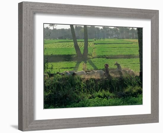 Children Tending Family Herds in Cultivated Fields at Saqqara, Egypt-Kenneth Garrett-Framed Photographic Print