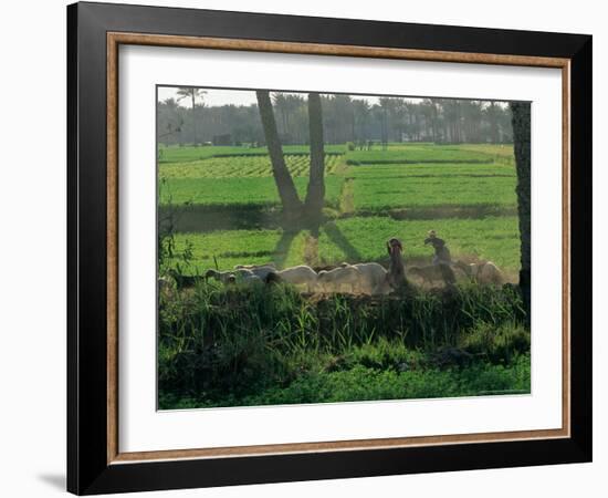 Children Tending Family Herds in Cultivated Fields at Saqqara, Egypt-Kenneth Garrett-Framed Photographic Print