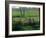 Children Tending Family Herds in Cultivated Fields at Saqqara, Egypt-Kenneth Garrett-Framed Photographic Print